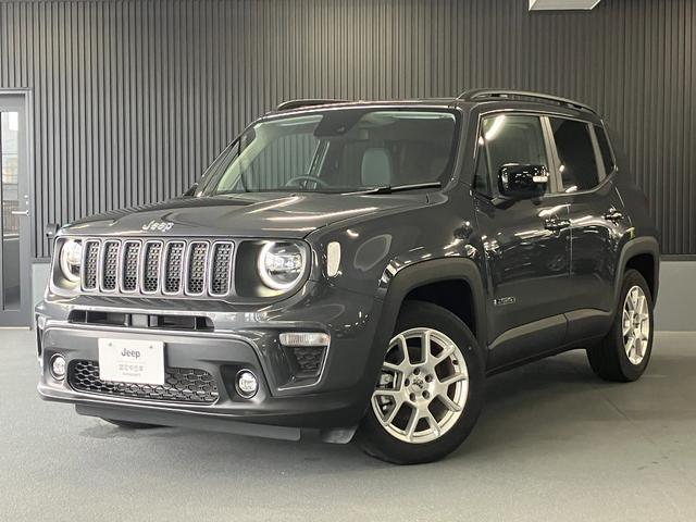 CHRYSLER JEEP JEEP RENEGADE 