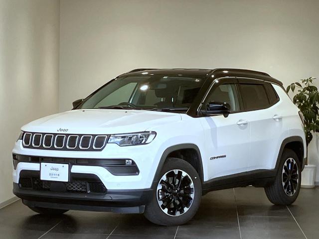 CHRYSLER JEEP JEEP COMPASS 