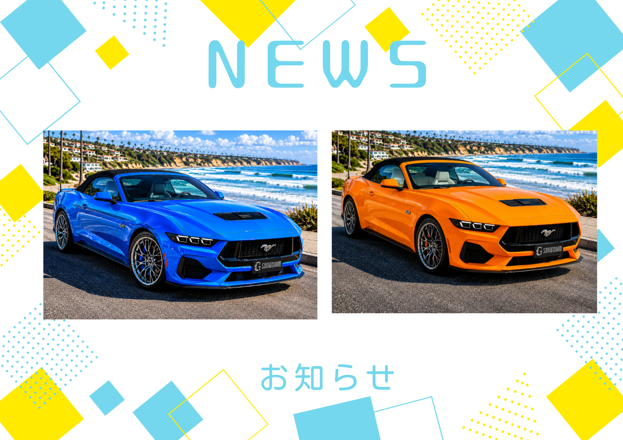 ニュース